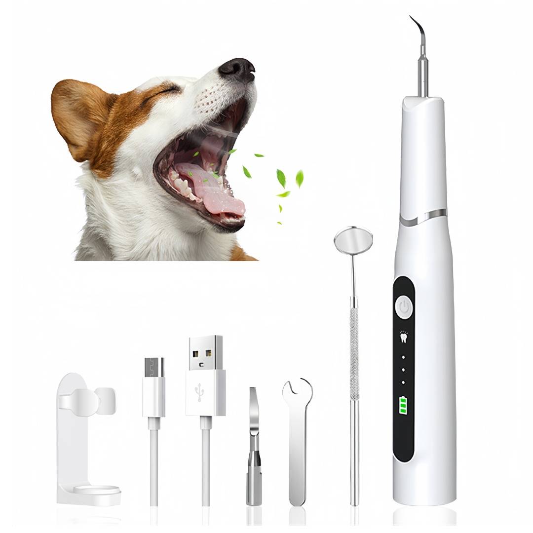 Ensemble de brosses à dents à ultrasons pour chien ou chat MCBOSON - Image 1