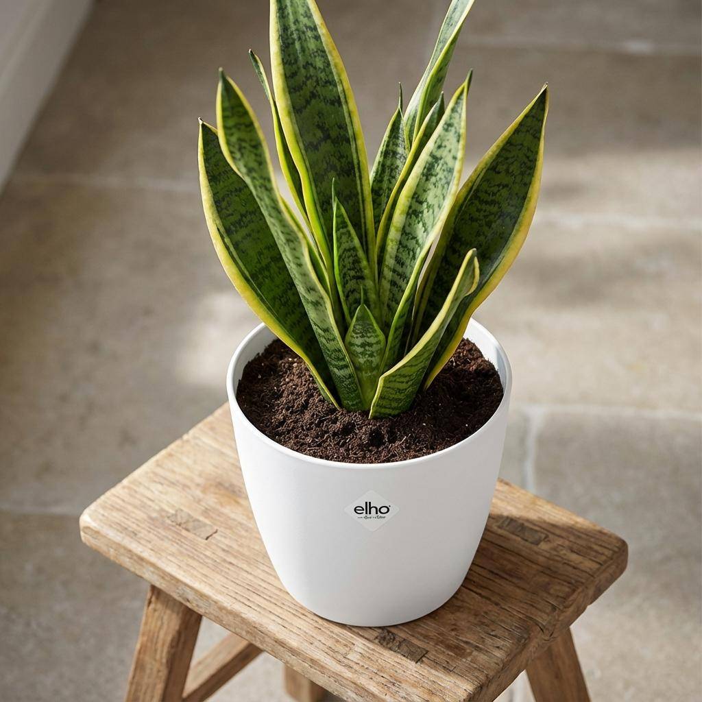 Pot de fleurs elho Brussels rond blanc - D.25cm - Image 4