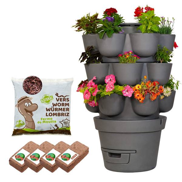 Ferme Du Moutta - WORMgarden Gris 3 jardinières + 500gr de Vers - Image 1