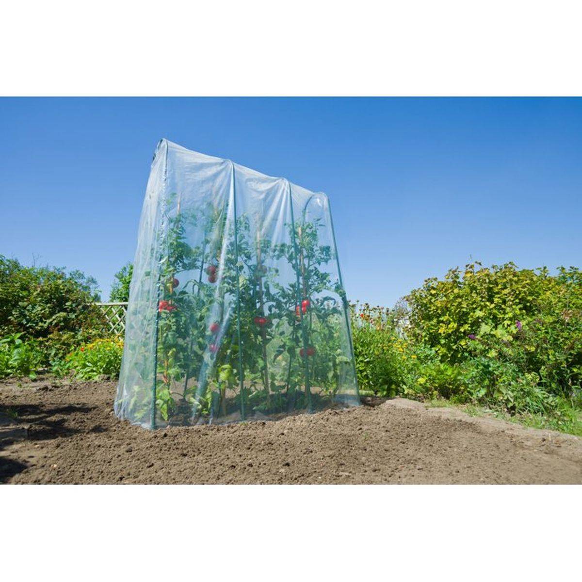 Nature - Film de croissance transparent LDPE 70 µ pour tunnel haut 4 x 3,5 m - NATURE - Image 2