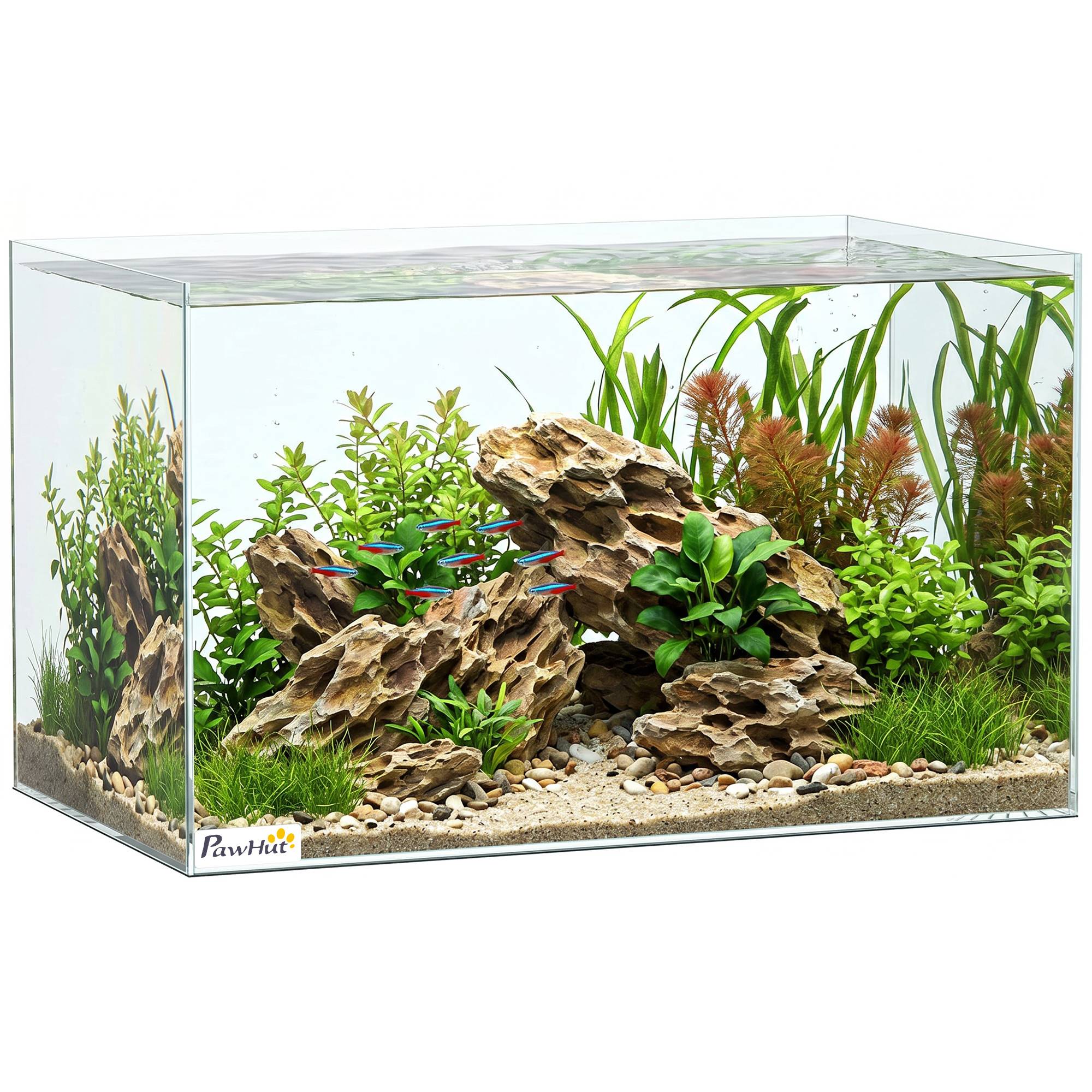 Sans Marque - Aquarium 43L en Verre Trempé avec Tapis de Protection Pour Poissons, Crevettes, Tortues, 50 x 30 x 30 cm, Transparent - Image 1
