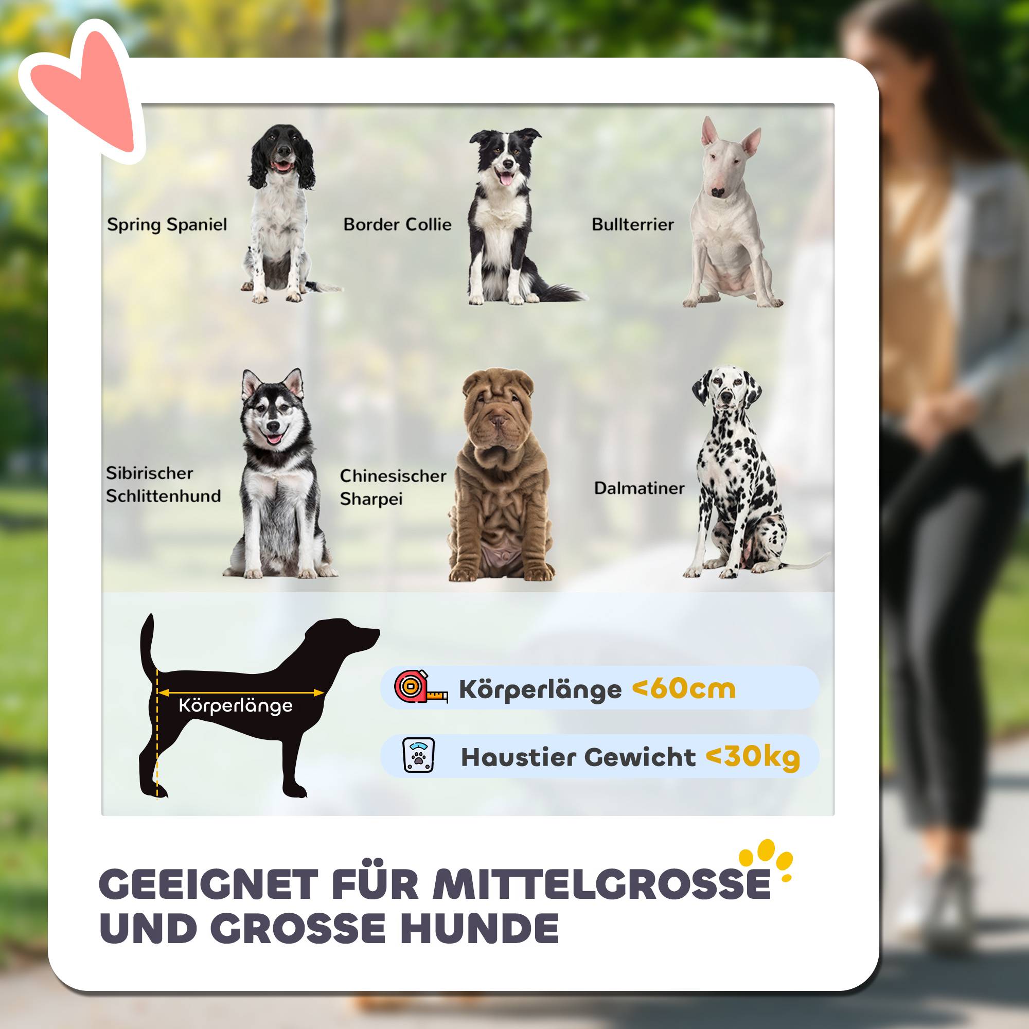 Chariot chien pliable one-click, pliable, 2 laisses sécurité, gris foncé - Image 6
