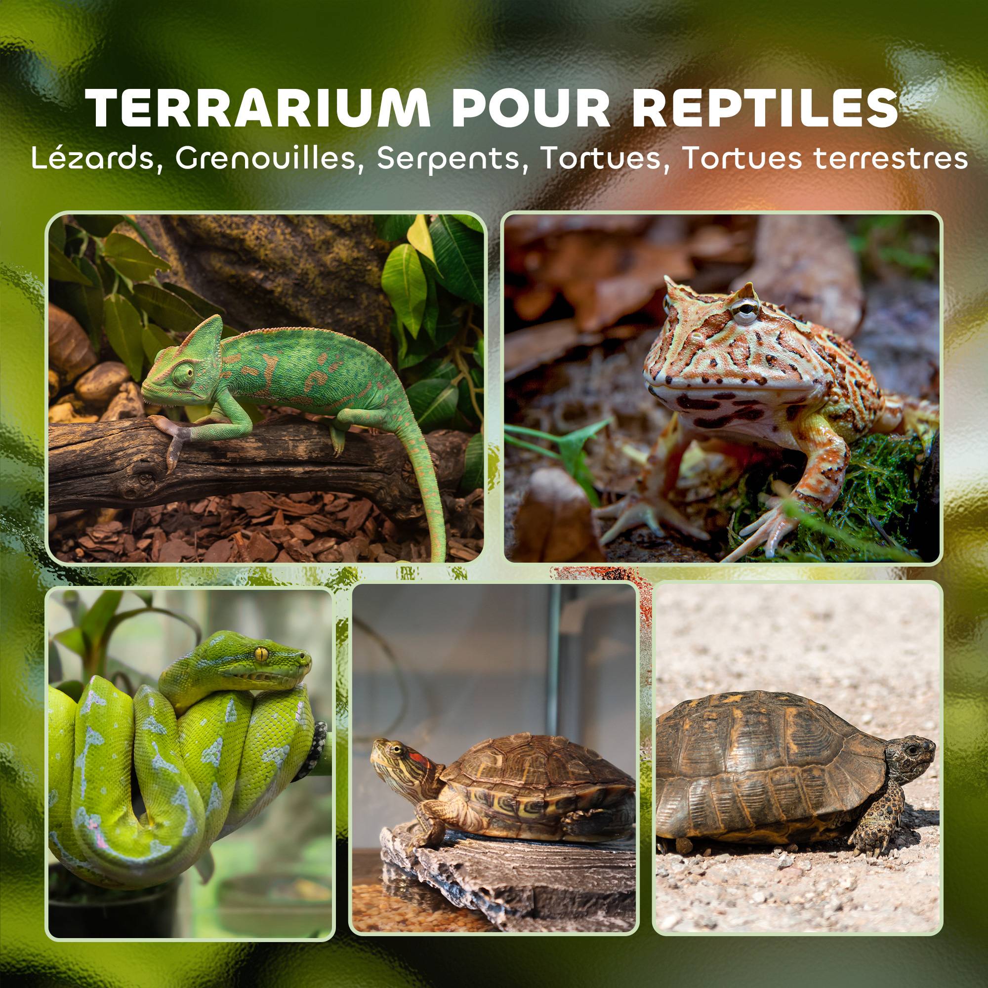 Boîte à reptiles, boîte d'élevage de reptiles, fermeture sécurisée par rotation, ventilation frontale, 50x30x35cm, noir - Image 6