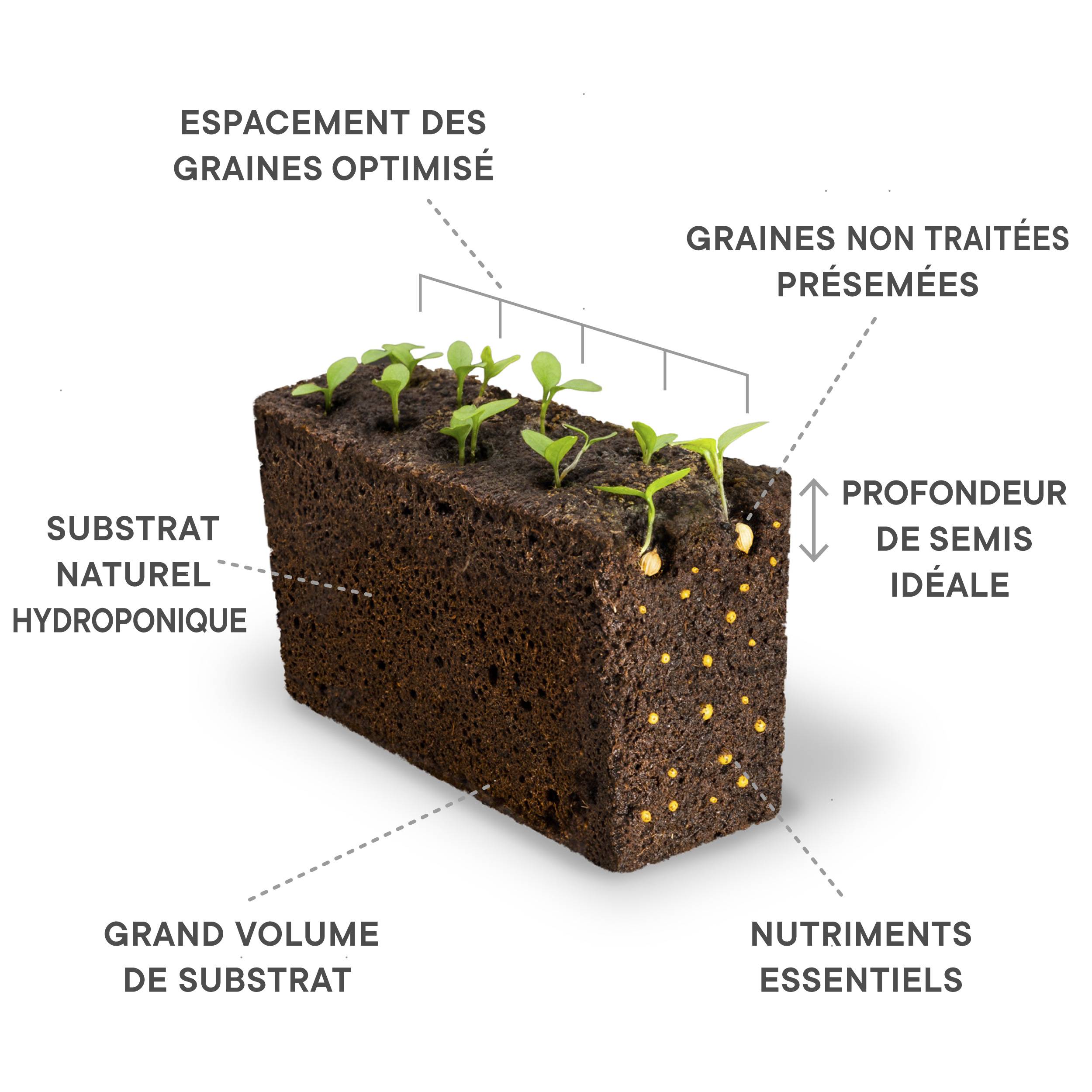 Veritable - Lingot Laitue romaine - Recharge prête à l'emploi - Véritable - Image 3