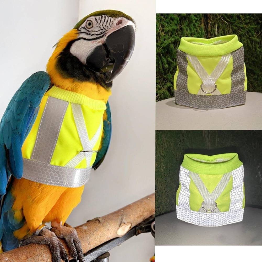DtopbuyAge - Harnais pour oiseaux DtopbuyAge - Image 2