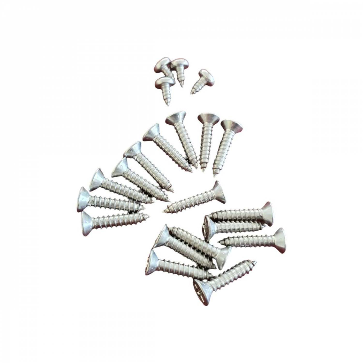 Lot de 22 vis pour skimmer de piscine Powerline - PWX13 - Hayward