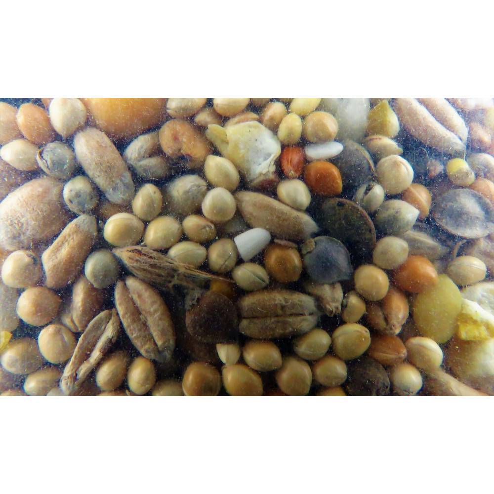 Zolux - zolux - Graines tourterelle nutrimeal - 12kg - Image 2