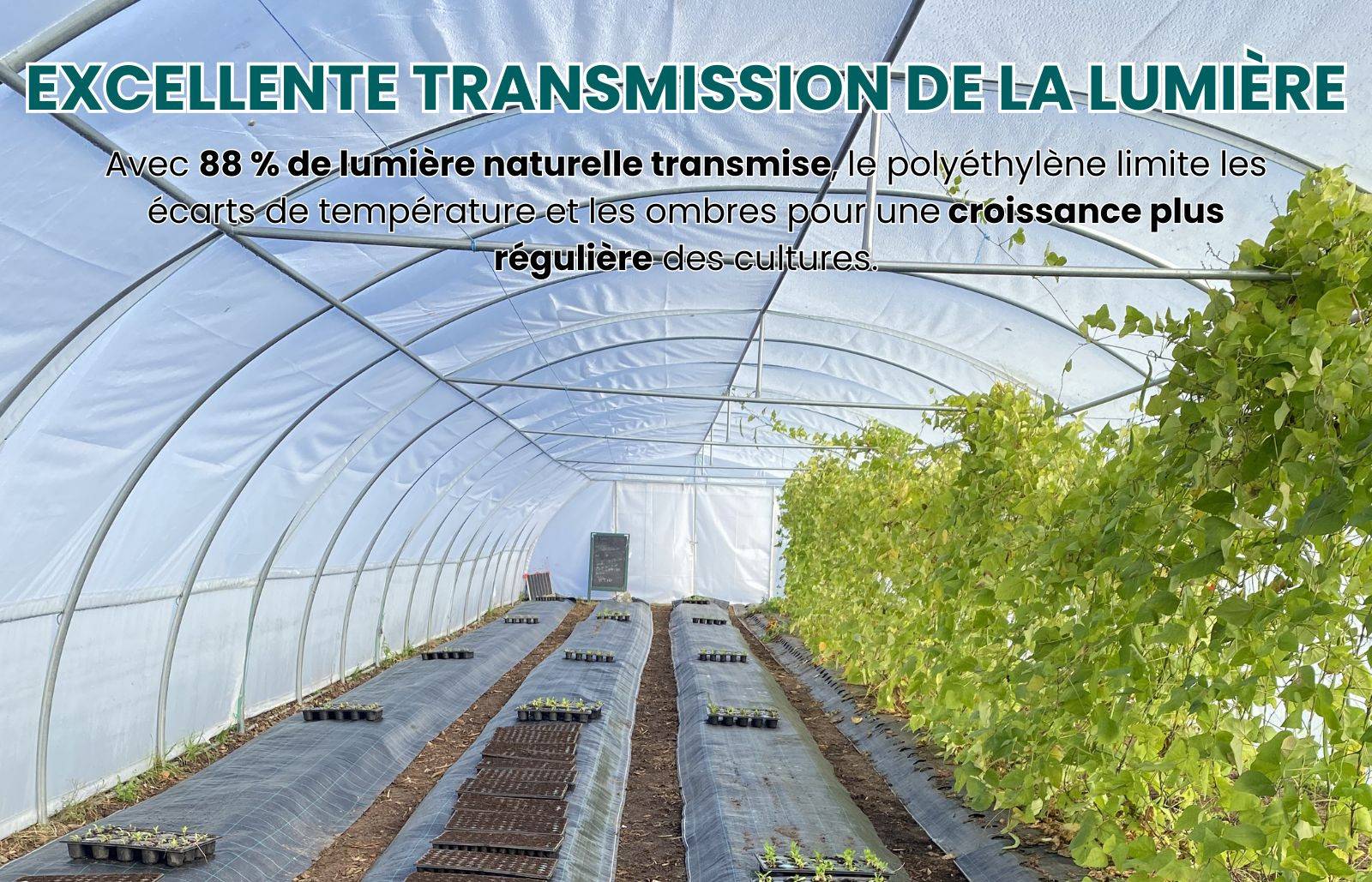 Bâche transparente à la coupe pour serre - polyéthylène 200µ - 2,5 m x 3 m - LES SERRES TONNEAU - Image 6