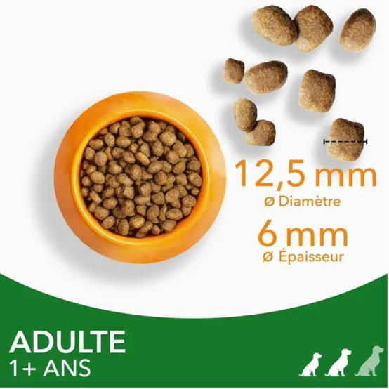Iams Chien Adulte S/M Agneau 12 kg - Image 4