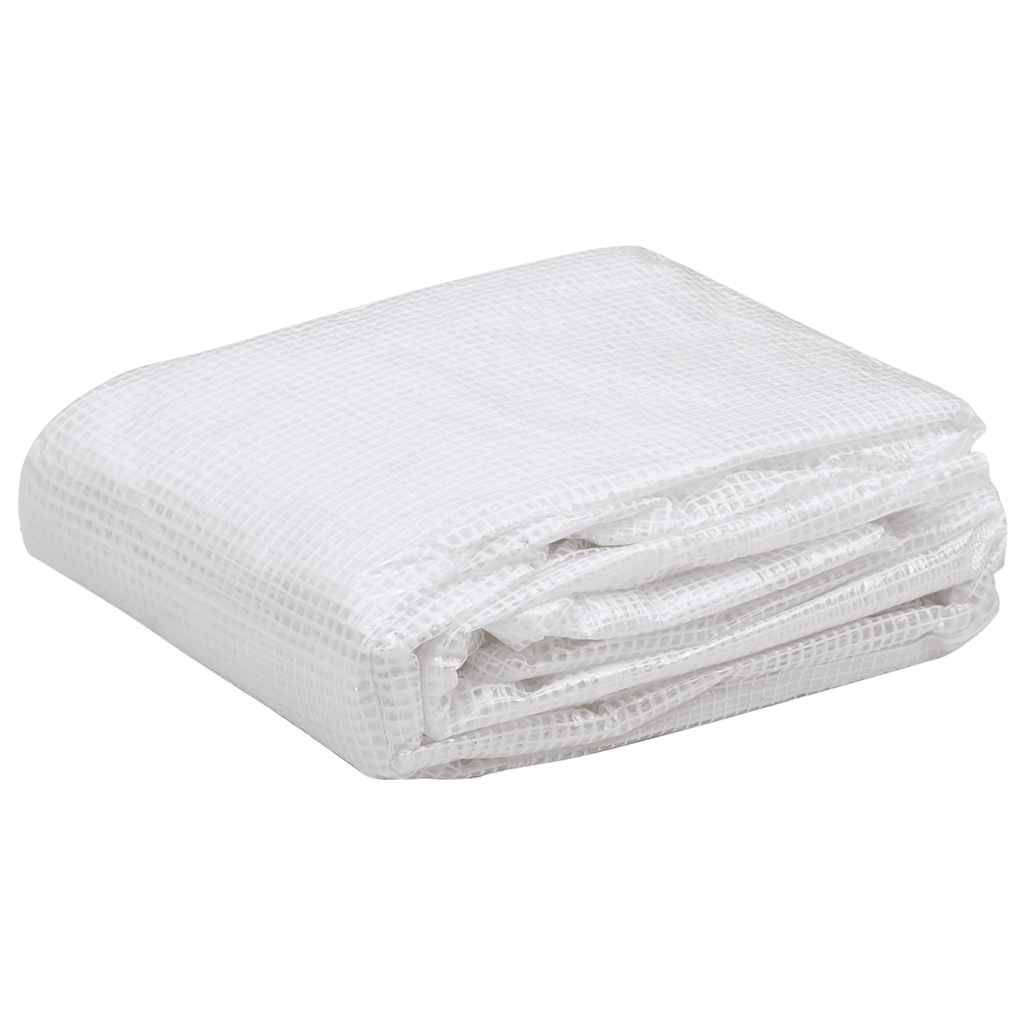 ComfortXL - Bâche de Serre Remplacement PE 9m² Jardin Protection Hiver 3x3x2 m Transparent - ComfortXL Outdoor Living - Image 2