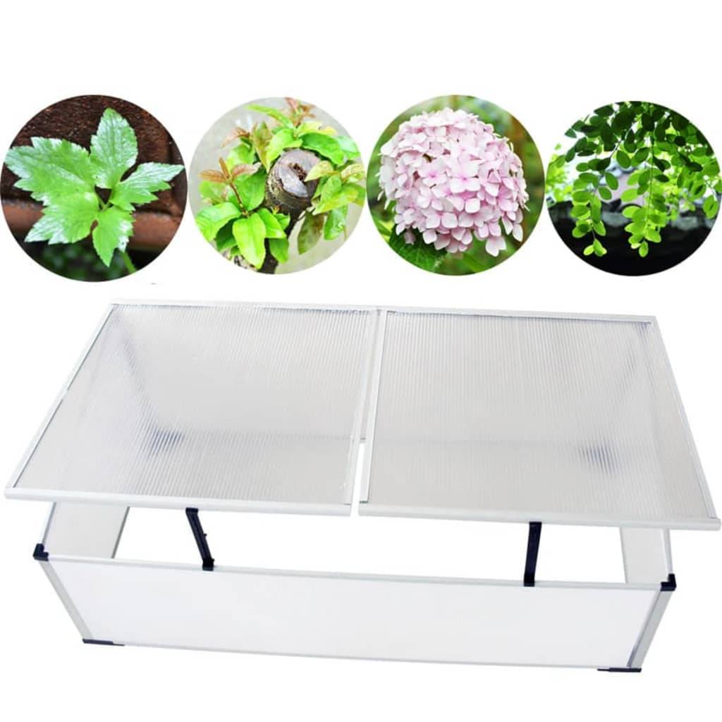 PANGIVO - Serre froide polycarbonate et aluminium transparent 110 x 55 x 41 cm - PANGIVO - Image 6