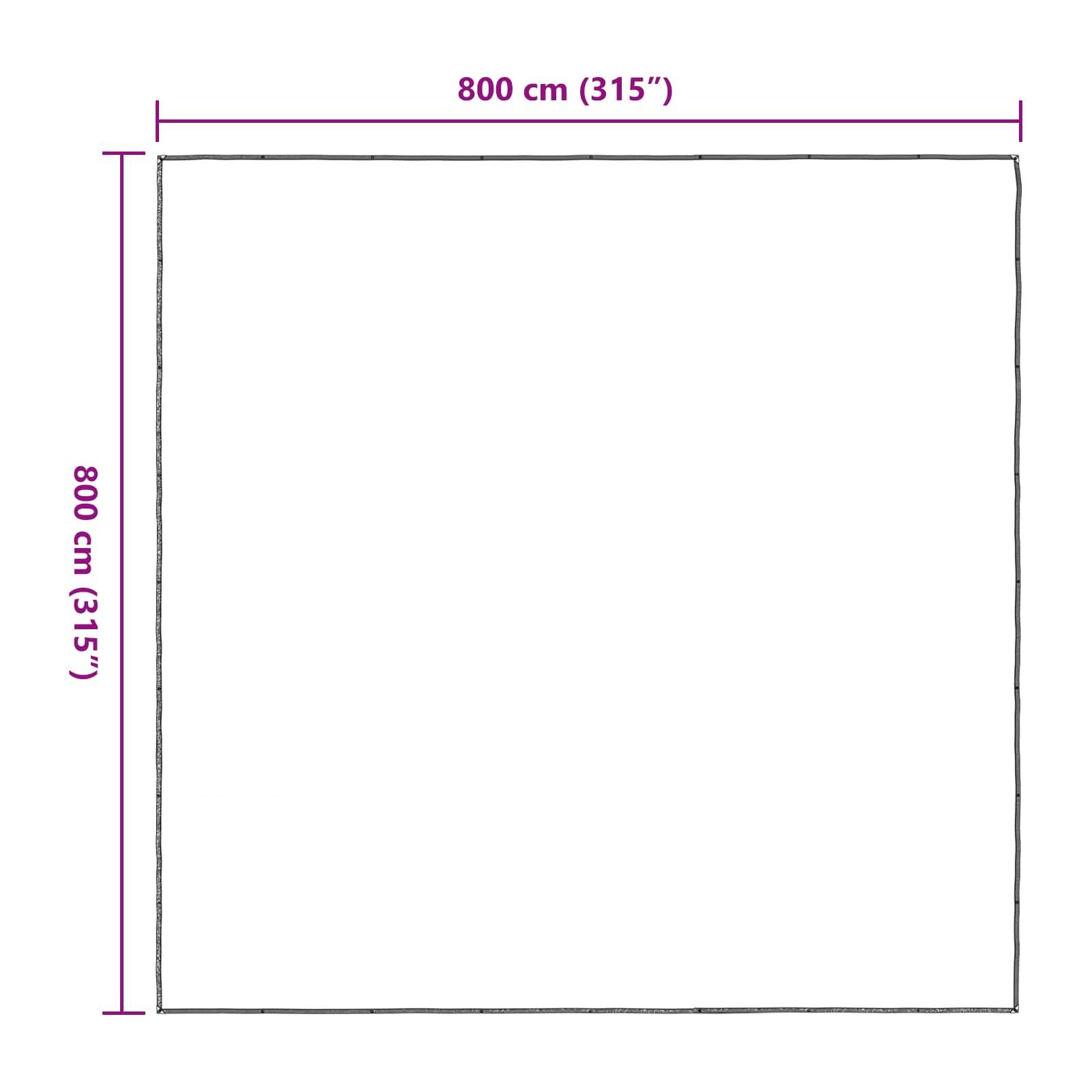 Vidaxl - Couverture pour plantes 8 x 8 m PE Translucide vidaXL 3429329 - Image 3