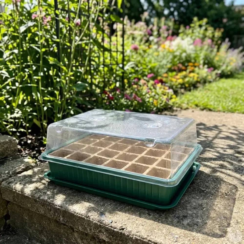 Autre - Kit de germination 27,5x20x7cm Progarden Progarden - Image 8