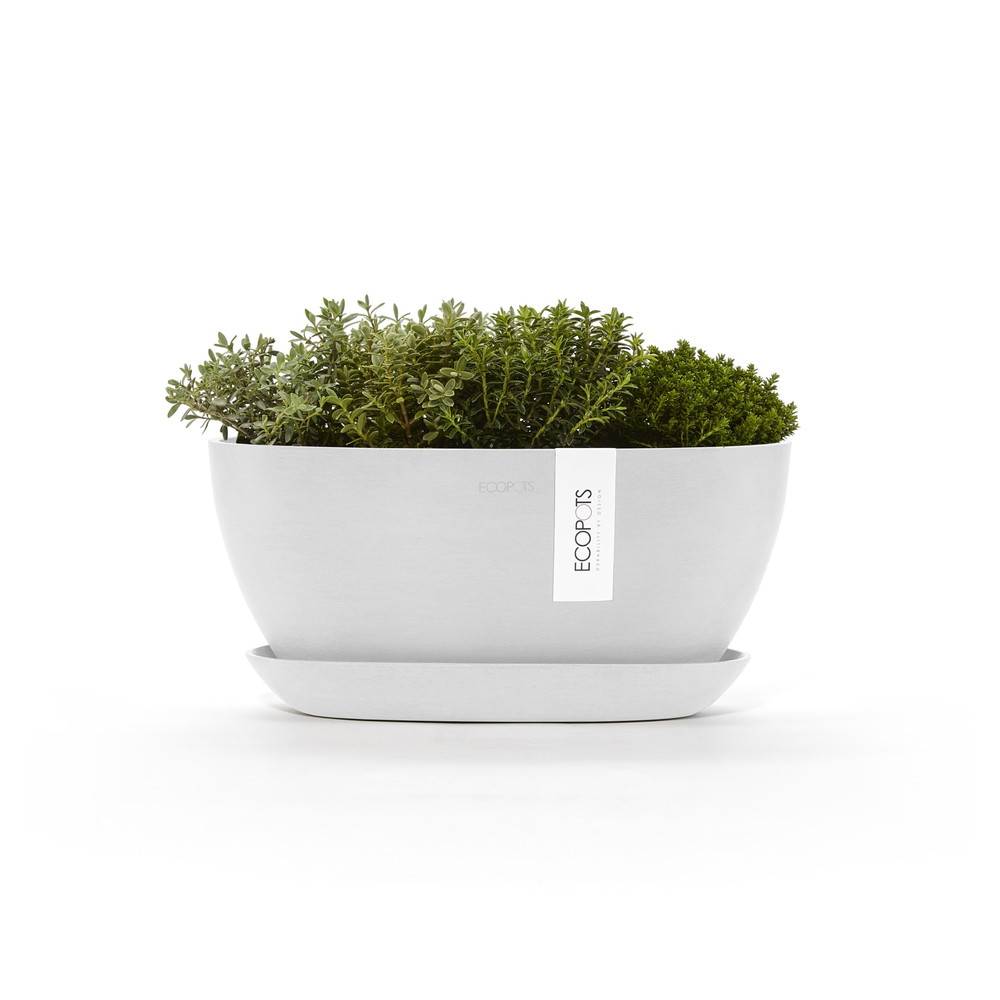 Ecopots - Pot Ovale Sofia 30 + Soucoupe - 30 x 13 x H. 13,9 cm - 2,7 L ECOPOTS - Image 2