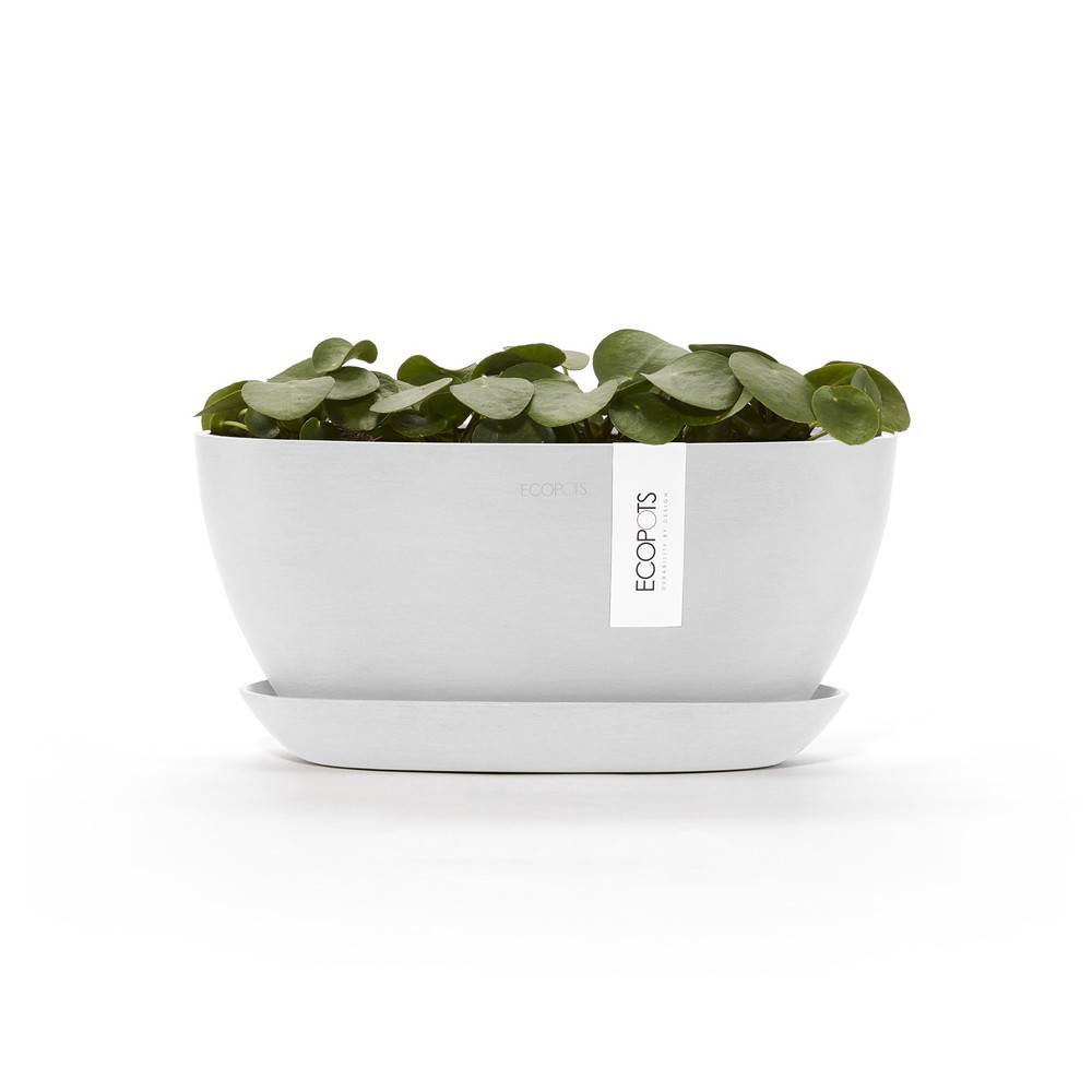 Ecopots - Pot Ovale Sofia 30 + Soucoupe - 30 x 13 x H. 13,9 cm - 2,7 L ECOPOTS - Image 3