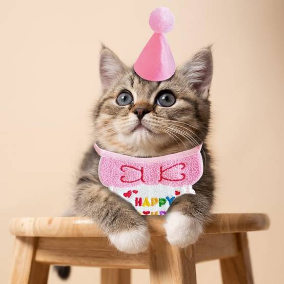 Set fête anniversaire chien/chat - Bandana + chapeau réglables - Motif "Joyeux Anniversaire" - Rose - Living123 - Image 4