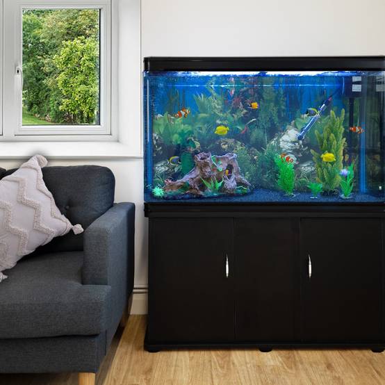 Monstershop - Aquarium à bords Noir avec Meuble NOIR et Gravier Bleu - Image 2