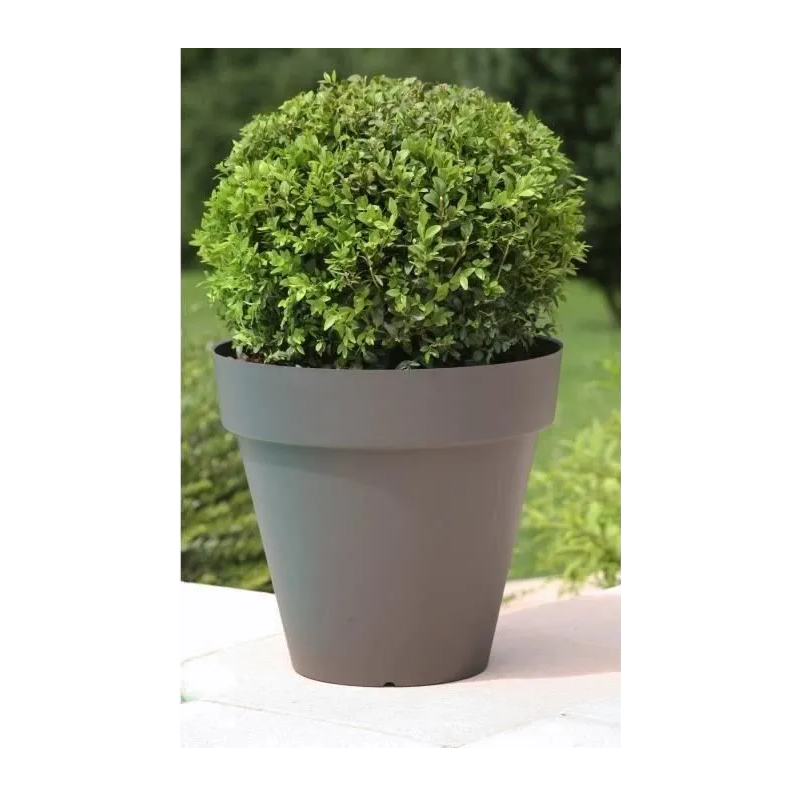 Riviera - Soleilla Rond 50 Gris - Image 6