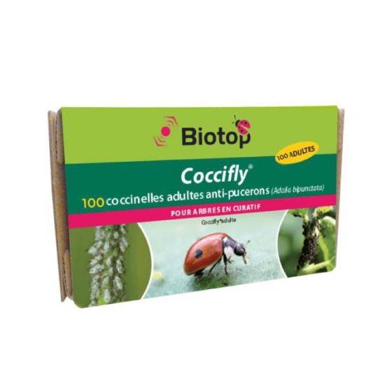 Biotop - Biotop - 100 coccinelles adultes anti-pucerons - Coccifly - Image 1