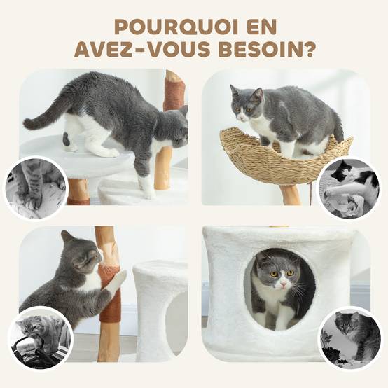 Arbre à chat bois et sisal blanc 55 x 45 x 102 cm - PANGIVO - Image 9