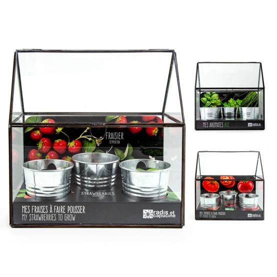 Radis et Capucine - Serre châssis noir -3 pots zinc - Fraisier - Image 3