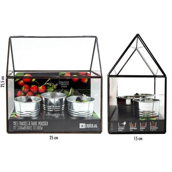 Radis et Capucine - Serre châssis noir -3 pots zinc - Fraisier - Image 7