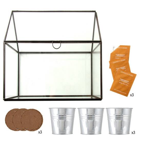 Radis et Capucine - Serre châssis noir -3 pots zinc - Fraisier - Image 5