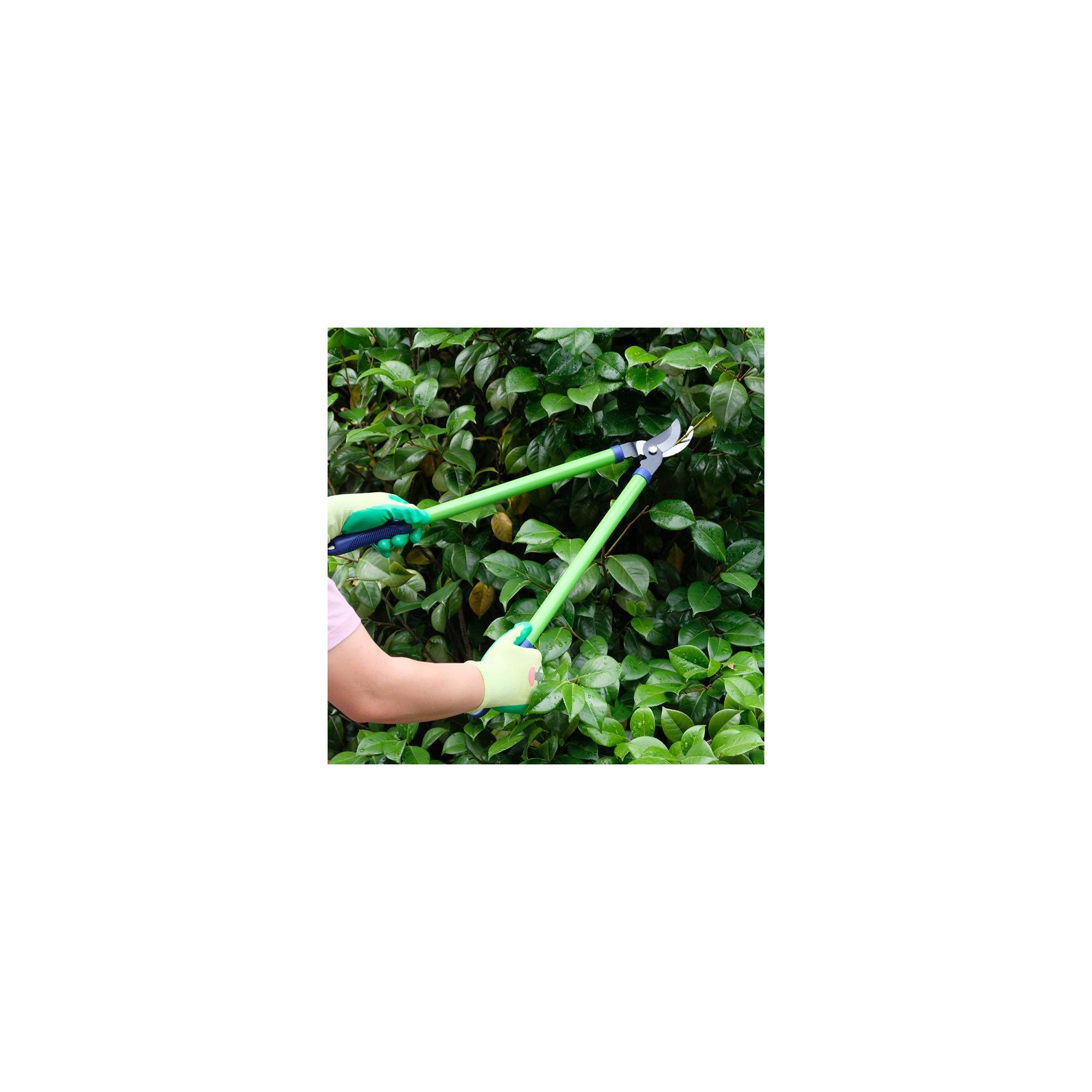Coupe branche lame franche - Suan - En acier carbone - Dimensions : 62 x 21,5 cm - Image 3