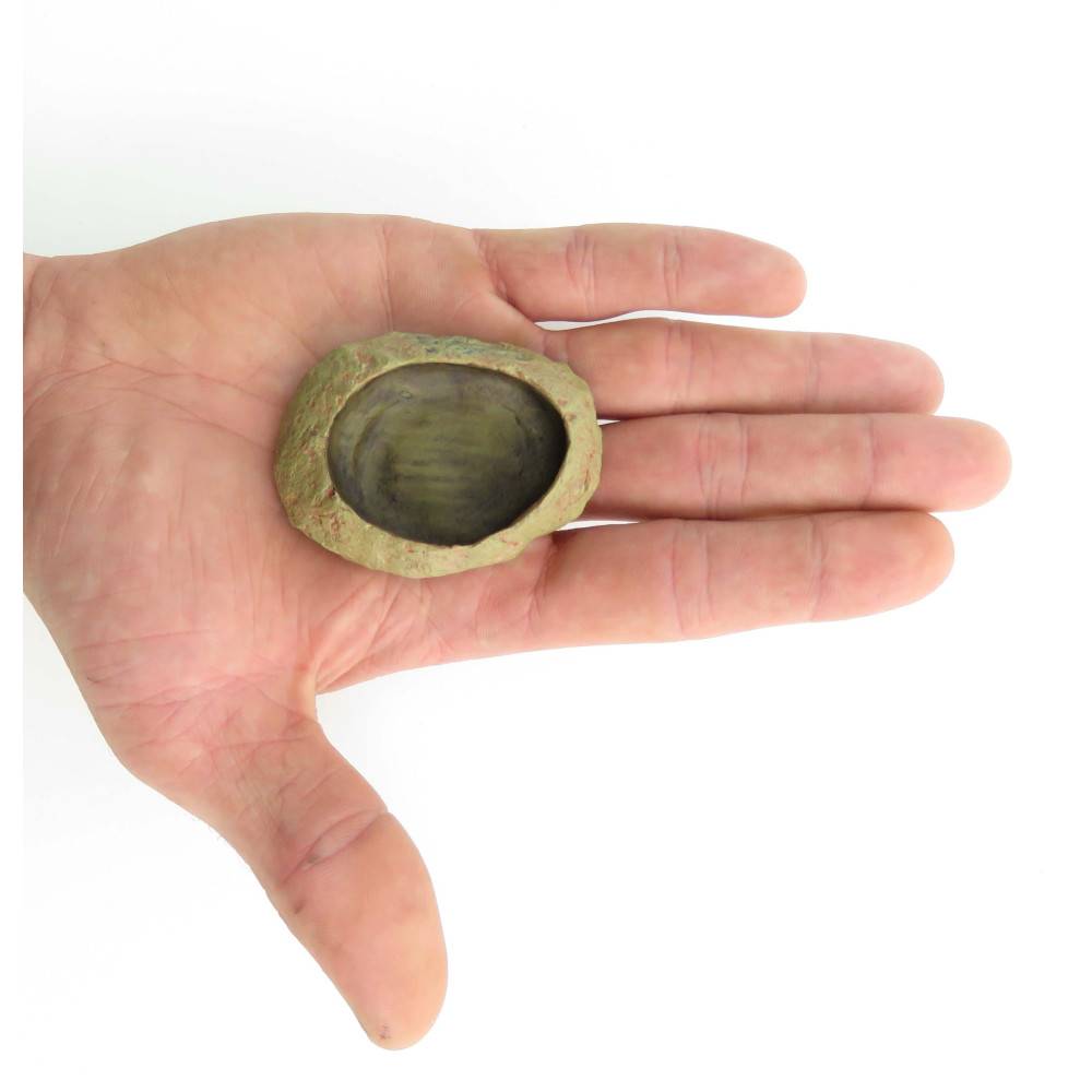 Trixie - Trixie - Ecuelle pour eau et nourriture pour reptile 6 × 4,5 cm H1.5 - Image 2