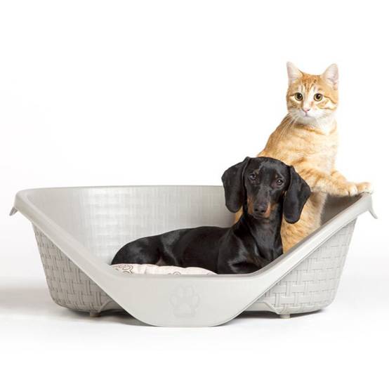 corbeille aspect rotin 60 x 44 x 21 cm H gamme Nido couleur gris clair pour chien - Image 6