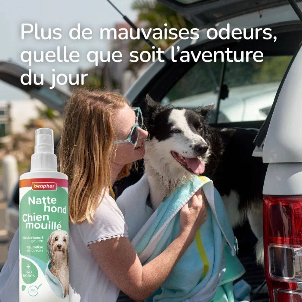 Spray Chien Mouillé - Anti-Odeur Beaphar 250 - Image 6