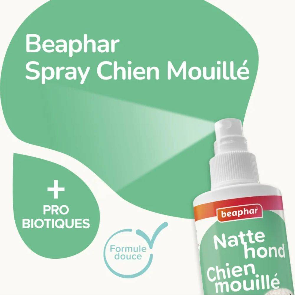 Spray Chien Mouillé - Anti-Odeur Beaphar 250 - Image 2