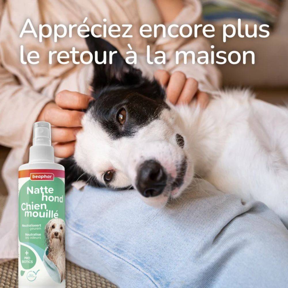 Spray Chien Mouillé - Anti-Odeur Beaphar 250 - Image 7