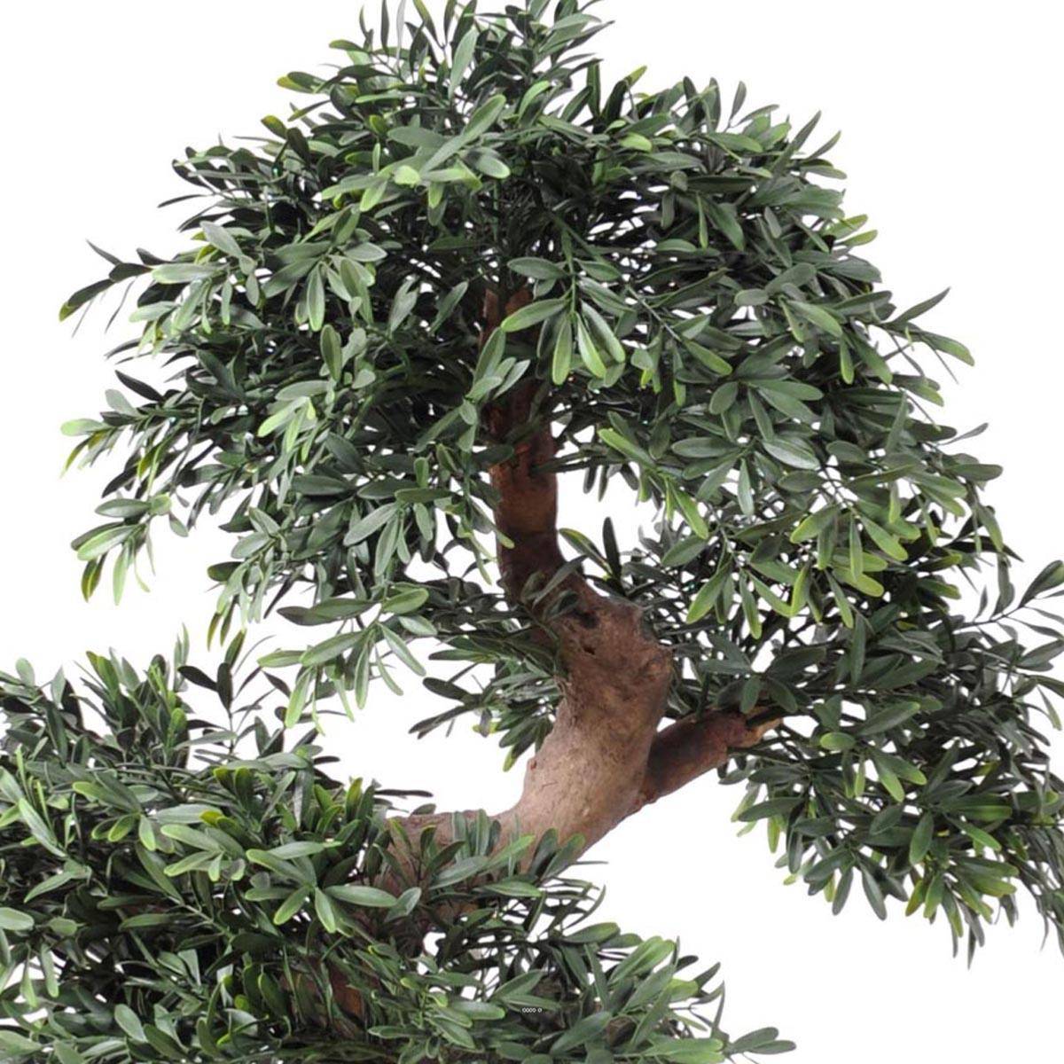 Artificielles - Bonsaï Saule Noir Artificiel H 70 cm D 60 cm en pot - dimhaut: H 70 cm - couleur: Vert - Image 2
