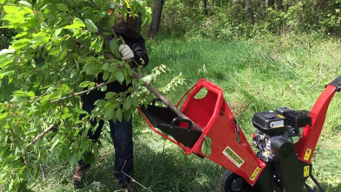 Broyeur de végétaux 6.5 cv Eco - Image 6