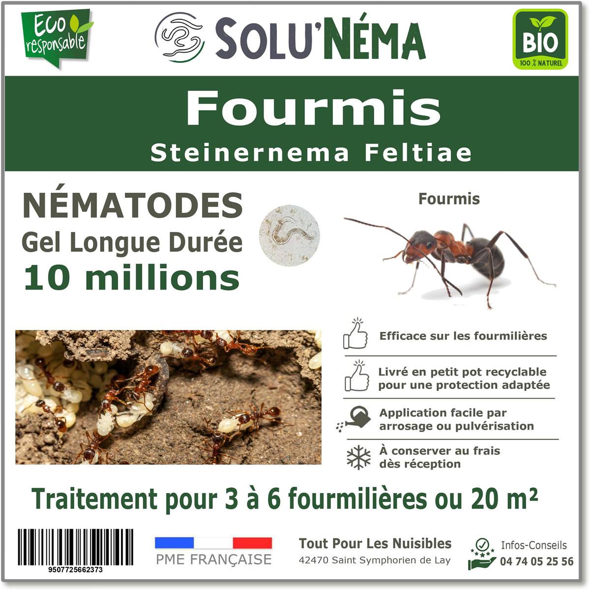 Solunéma - Fourmis - Traitement à base de Nématodes Steinernema feltiae (SF) - 10 millions pour 3 à 6 fourmilières - Image 1