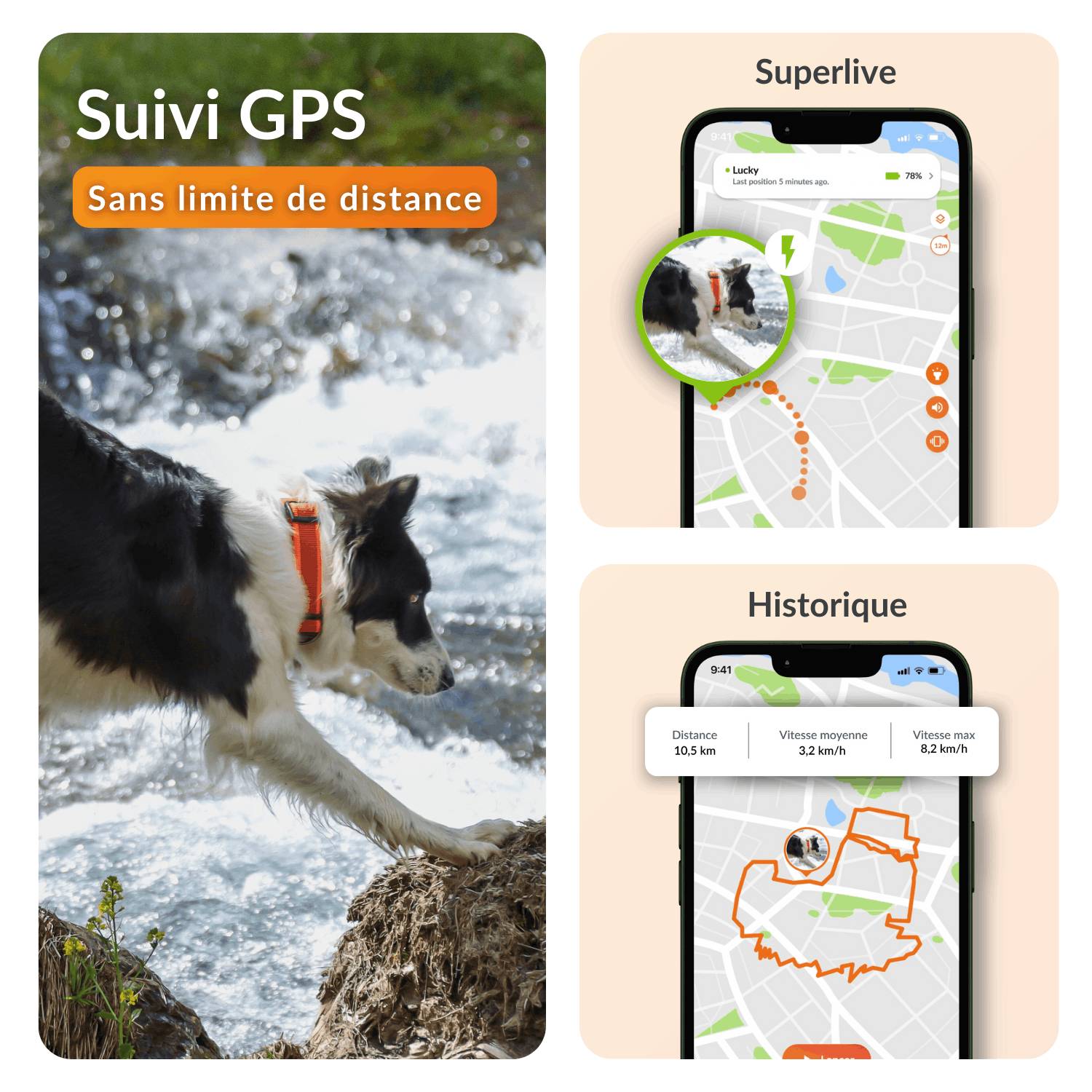 Weenect - Weenect XT - Traceur GPS pour chien - Image 3