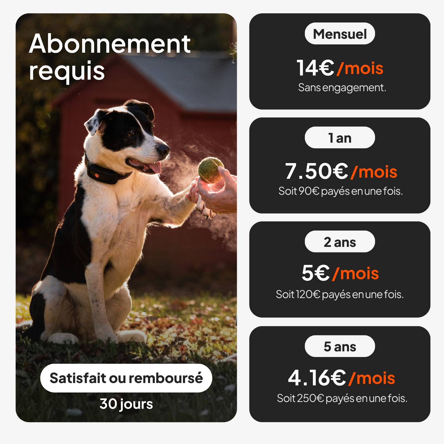 Weenect - Weenect XT - Traceur GPS pour chien - Image 6