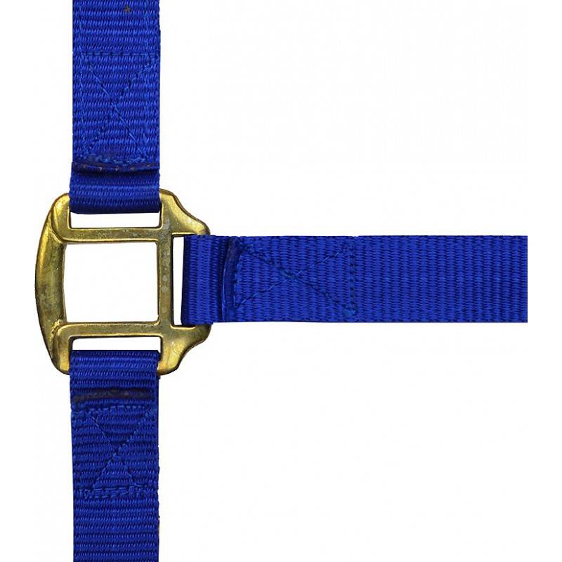 Norton - Licol nylon marine doublé cuir pour cheval - Image 1
