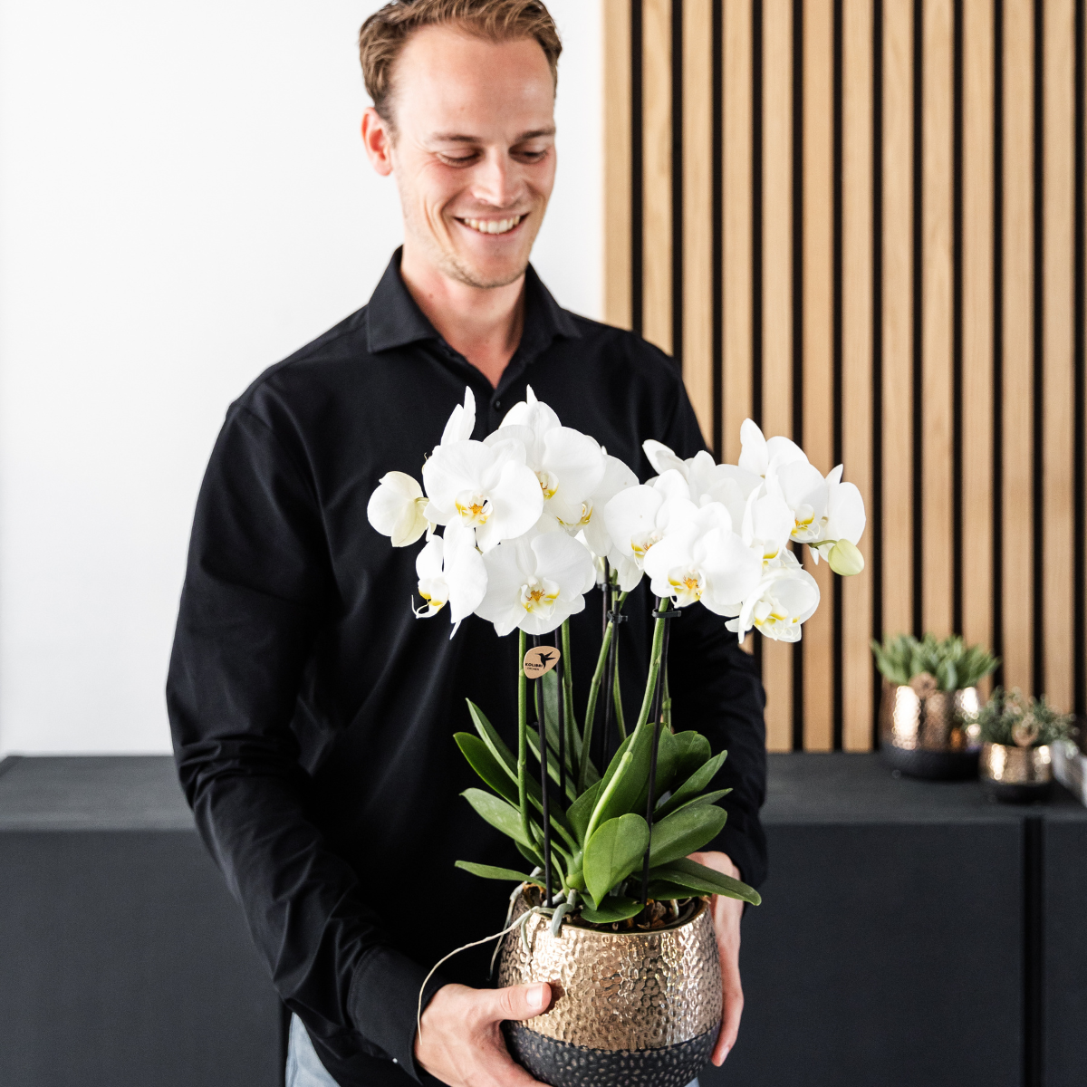 Lot de 4 orchidées Phalaenopsis blanches 'Ghent' - Ø12cm - Plantes d'intérieur - Image 2