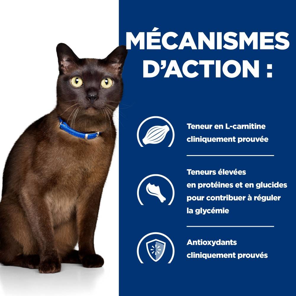 CROQUETTES CHAT ADULT PRESCRIPTION DIETS M/D DIABETES / WEIGHT MANAGEMENT - HILL'S 3 kg - Image 4