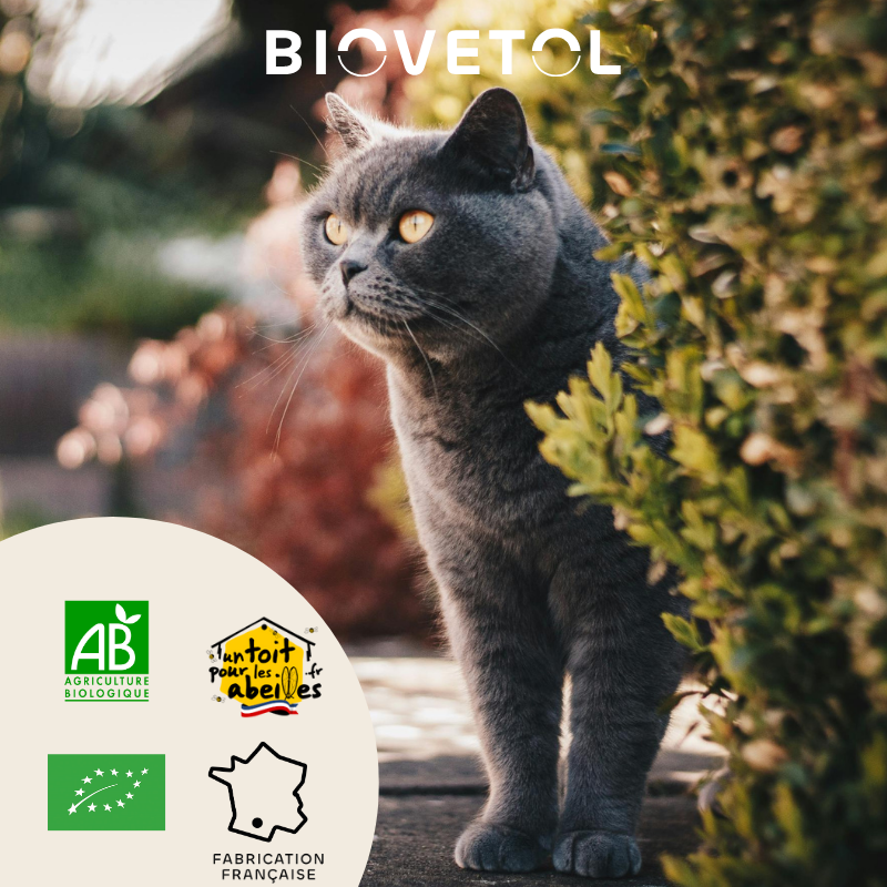 Biovetol - Vermifuge Bio en Poudre pour Grand Chat - Image 2