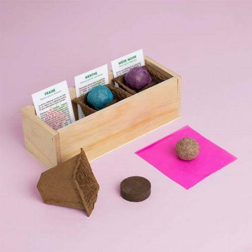 Kit culinaire d'auto culture - Pizza - Image 1