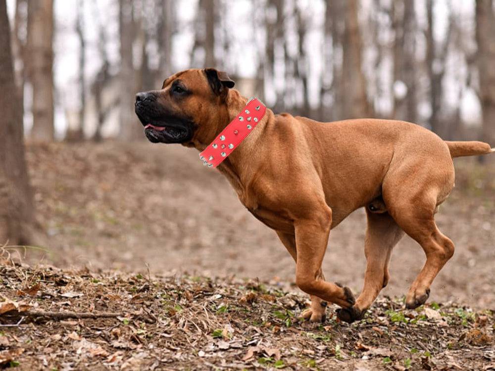 Collier chien clouté cuir eco réglable xl rouge - Image 8