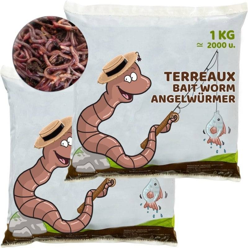 Ferme Du Moutta - Vers de terreau vivants Eisenia pour la pêche, 1 kg, environ 1600 à 2000 vers - Image 1