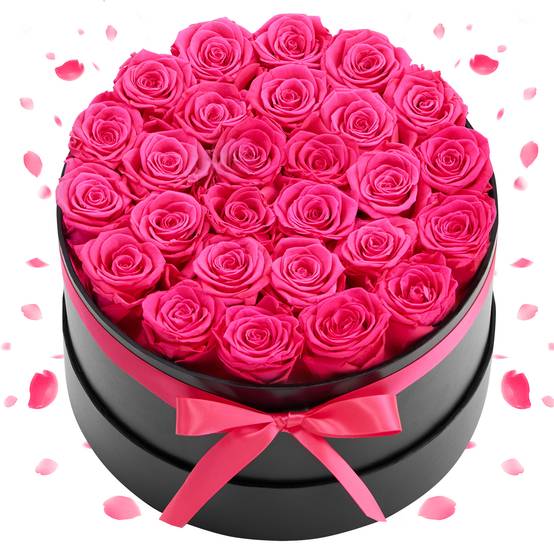 VEVOR Rose Éternelle Fleurs Éternelles Préservées 27 PCS Boîte Ronde Rouge Rose - Image 1
