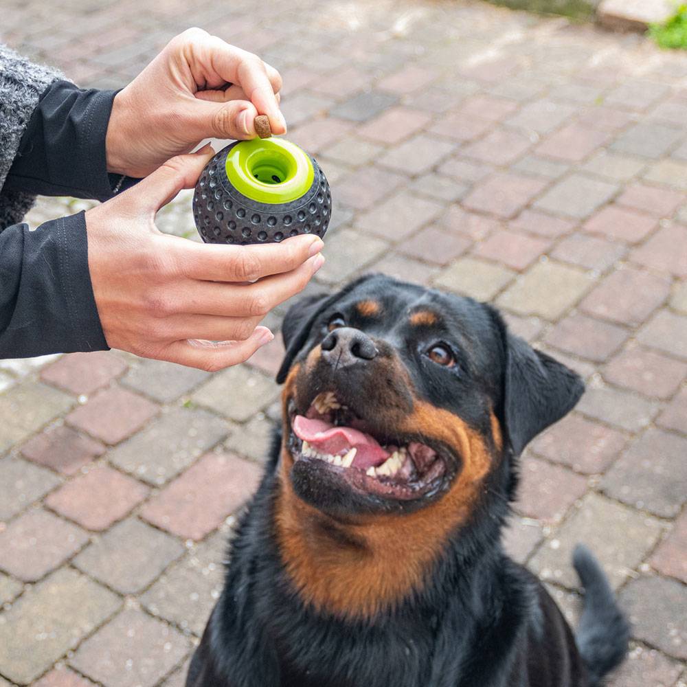 Ferplast - Ferplast Jouet Chien, Distributeur croquettes,  en Matériau Durable, Non Toxique, Résistante aux Morsures, Rebondissant et Flottant, CHEWA BOING Balle - Image 5
