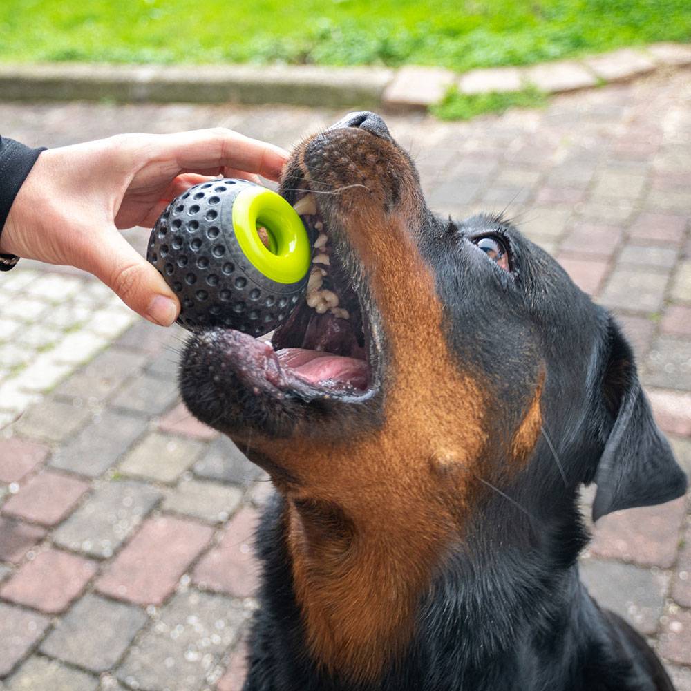 Ferplast - Ferplast Jouet Chien, Distributeur croquettes,  en Matériau Durable, Non Toxique, Résistante aux Morsures, Rebondissant et Flottant, CHEWA BOING Balle - Image 6