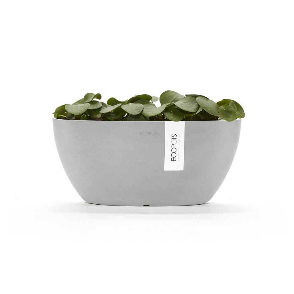 Ecopots - Pot Ovale Sofia 30 Blanc Gris + réservoir d'eau - 30 x 13 x H. 13,5 cm - 2,7 L ECOPOTS - Image 3