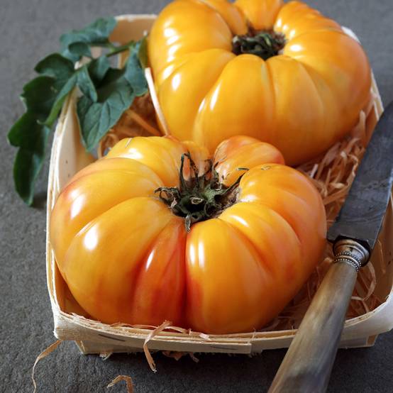 Tomate Ananas BIO le sachet de 50 graines environ (0,18g)